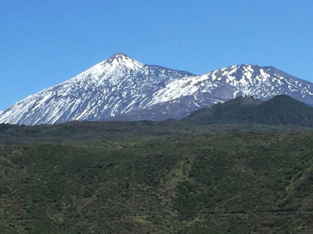 Laika Διαμέρισμα Los Cristianos  Εξωτερικό φωτογραφία